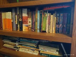 (2) Shelves of Mixed Books - Novels, Family Help, Etc.
