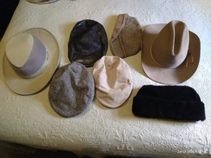 (7) Mens Hats