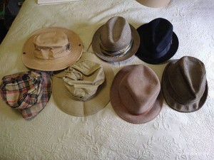 (7) Mens Hats