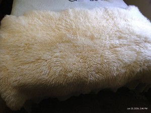 Large Sheepskin Rug
