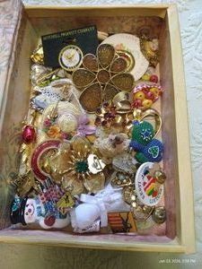 Large Lot of Pins & Brooches