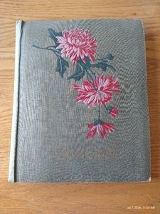 Collection of Antique Early 1900s Postcards