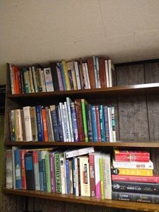 (3) Shelves of Books - Huge Variety
