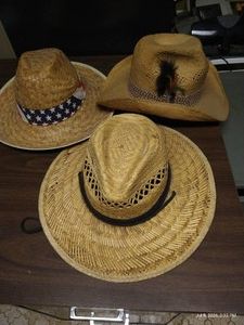 (3) Straw Mens Hats