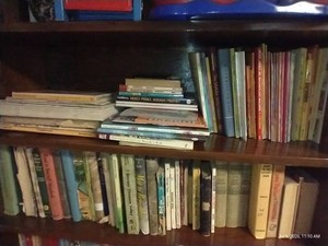 (2) Shelves of Vintage Childrens Books - Bible Stories & Lessons, Youth Novels, Etc.