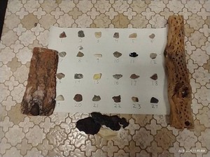 Collection of Rocks, Wood, Volcanic Rock from Hawaii