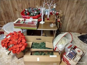 Large Christmas Lot