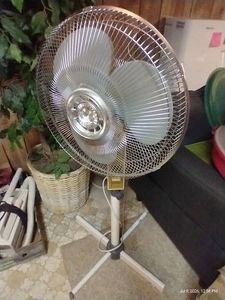 Stand Fan, Oscillating, 3-Levels - Works Well