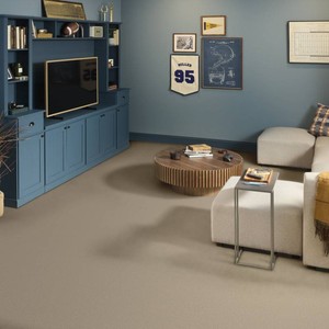 258 Sq Ft Shaw Shadow Hollow Color Oatmeal VERY Plush Carpet 12 x 21.5