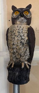 G - Owl Yard Stake Bobble Head