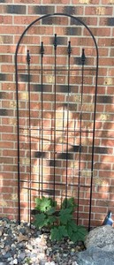 FY - Garden Trellis Black Iron Arch