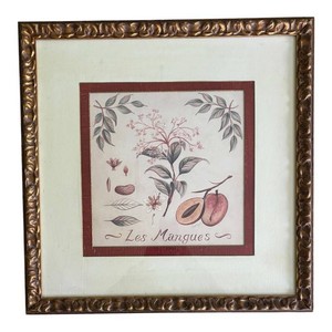 O - Les Mangues Framed Botanical Print