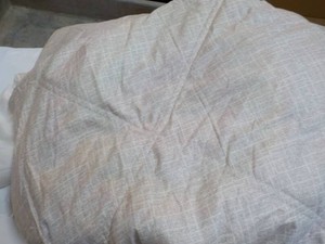 Berkshire Down Alternative Filled B...