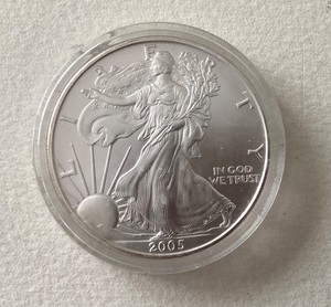 2005 Silver Eagle Coin