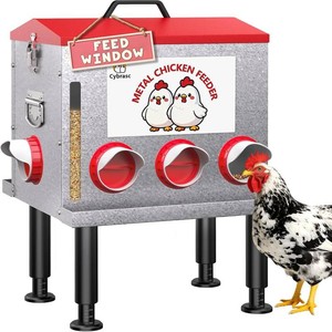 Cybrasc 10 Gallon 55 Pound Metal Chicken Feeder