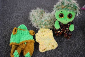 Turtle with handmade accessories...