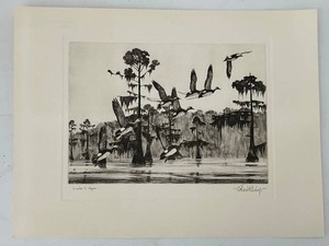 Richard E. Bishop Waska Widgeon Bird Print Reproduction
