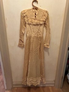 1900s Antique Pioneer Prairie Lace Trim Long Sleeve Dress