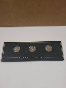 Buffalo Nickel 3-Coin Display Set in Marble Look Holder Vintage