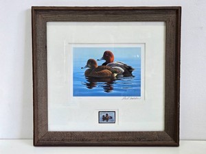 Framed signed Numbered Duck Stamp Print - Scholler