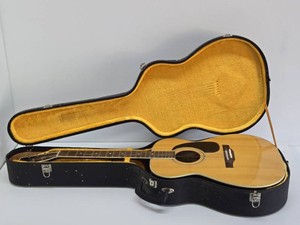 Vintage HARMONY Acoustic Guitar wHard Case