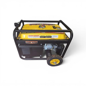 Champion 4000 Watt Generator