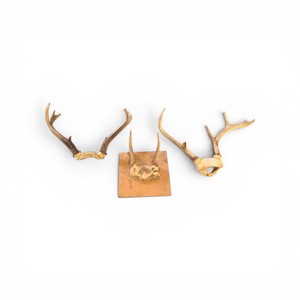 3 Sets of Antlers