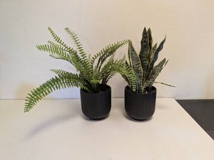 (2) ARTIFICIAL PLANT ARRANGEMENT