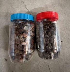 Agates & Staurolite Crystal Specimen Jars