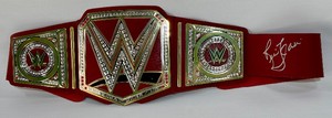 Ric Flair Autographed wJSA COA WWE Wrestling Belt