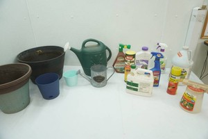 Garden Care, Lawn Care, Watering Cans, Deck Wash