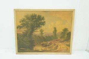 Vintage Framed Print Glories of Nature. 29.5x24