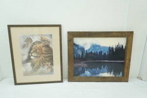 Framed Art Prints (2ct) Landscape & Lion