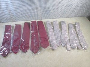 (EW3) 10 New Neck Ties...