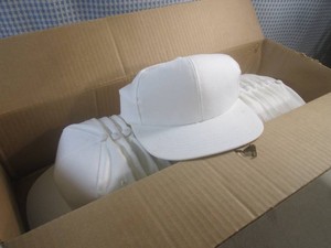 (EW3) Box of 24 New Blank Caps...