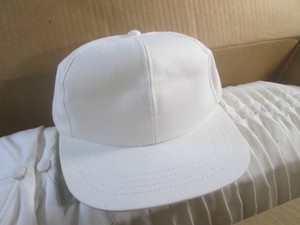 (EW3) Box of 24 New Blank Caps...