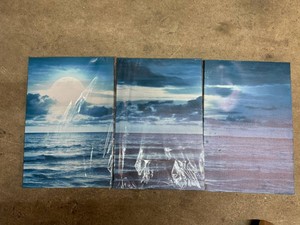 3 piece Wall Canvas