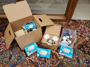 Large assortment of lightbulbs with various shapes and sizes