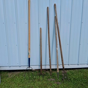 Lot of Long Handle Garden Tools with Forks and Hoes