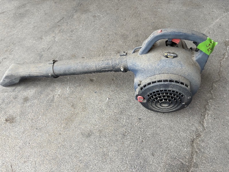 Gas Powered leaf blower