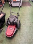 22" Walk Behind Trimmer