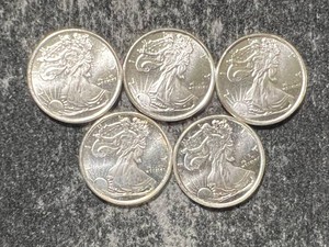 HALF TROY OZ TOTAL .999 FINE SILVER FRACTIONAL PIECES