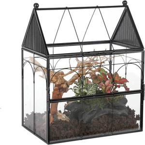 NCYP Glass Enclosure with Vent Holes for Jumping Spiders, Praying Mantis, Small Insect - 7.5 x 4.9 x 9 Front Opening Door Vented Glass Terrarium - House Shape, Home Decor, Black (Terrarium Only)