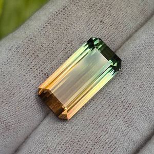 22.68 Carat Watermelon Tourmaline by Award-Winning Gem Cutter Ben Kho; Retail Value $11,500 *VIDEO*
