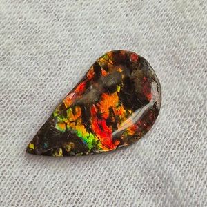4.65 Carat Ammolite Retail Value $698 VIDEO