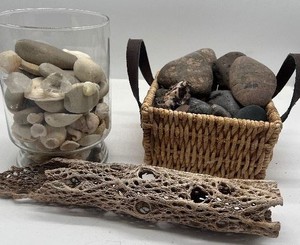 Shells and Rock LOT