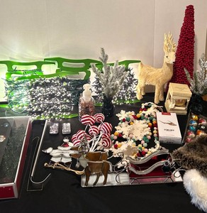LFR - Christmas Ornament & Holiday Decor Mixed Lot