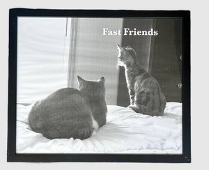 G - Cat Print Fast Friends Framed