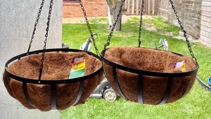 S - Hanging Baskets - Vigoro 14 in English (Lot of 2)