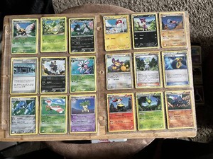 Lot of 36 Pokemon Trading Cards featuring Ninjask, Poochyena, Yanma, Gurdurr, and others with Trainer and Energy cards included. Includes various types and generations.